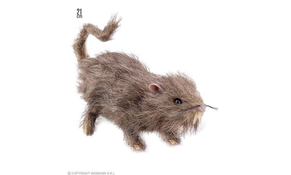 "HAIRY RAT" 21 cm