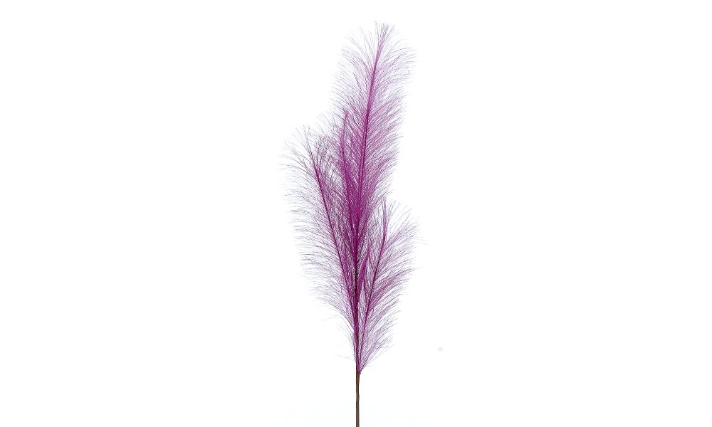 24/192-80cm Purple pampas branch