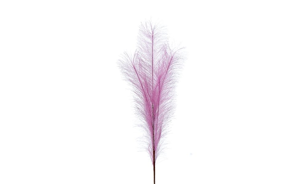 24/192-80cm Pink pampas branch