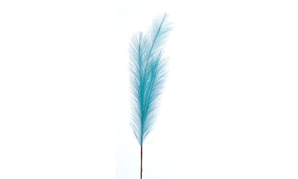 24/192-80cm Blue pampas branch