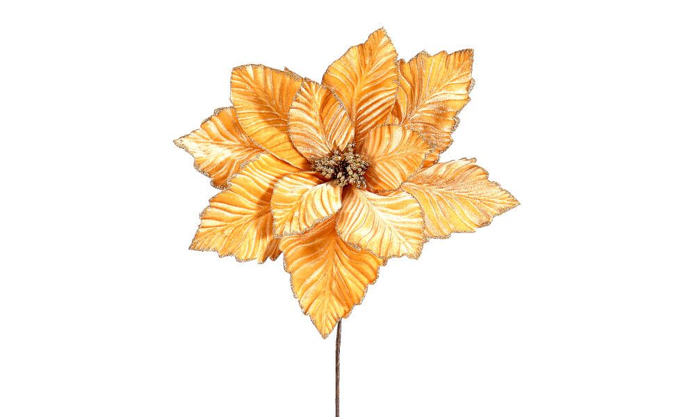 12/120-Gold poinsetia 40x70cm