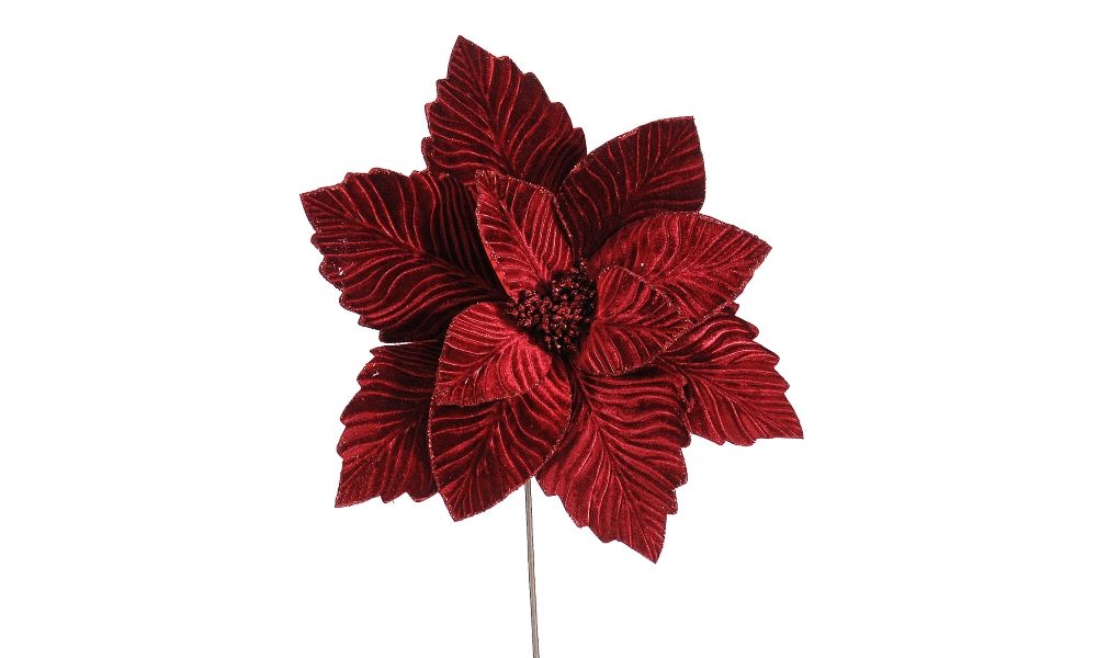 12/120-Burgundy poinsetia 40x70cm