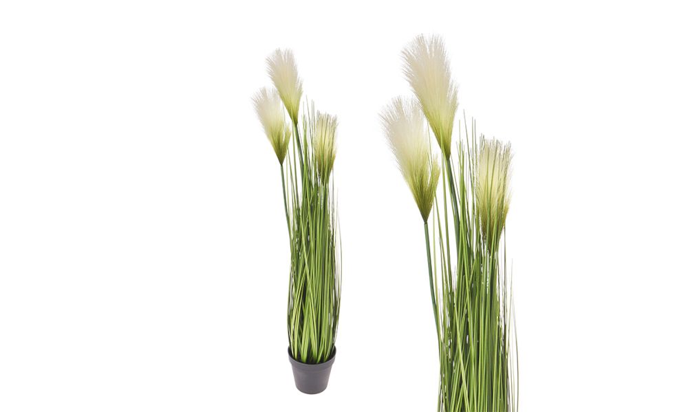 Monkey grass x 3 σε κασπώ,85cm