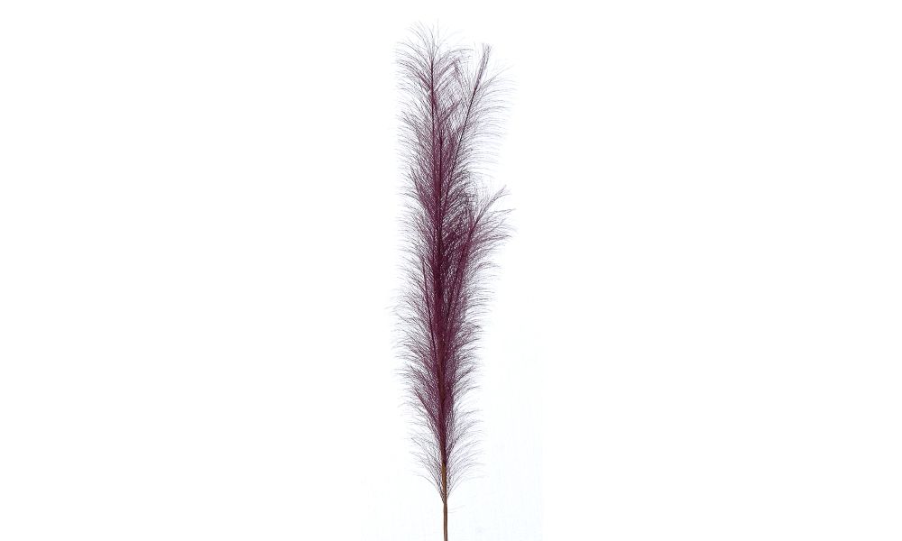 12/192-100cm Burgundy pampas branch