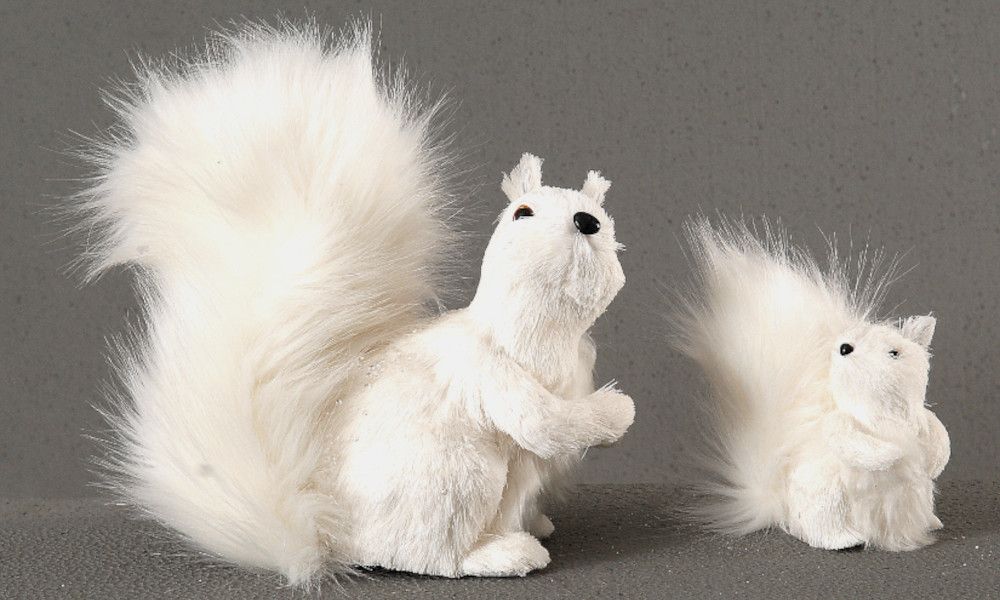 4/16 - 25cm white squirel