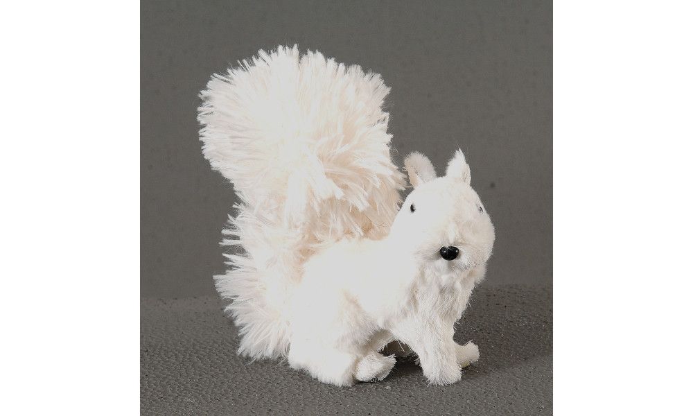 6/72-15cm white squirrel