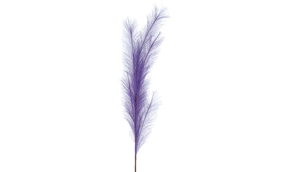 24/192-100cm Purple pampas branch