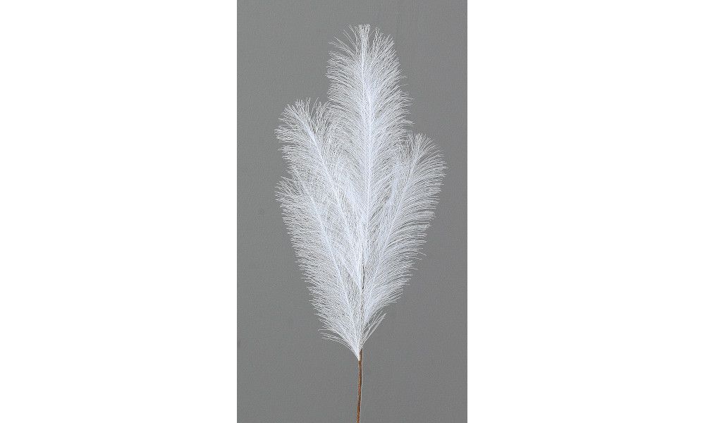 24/192-80cm White pampas branch