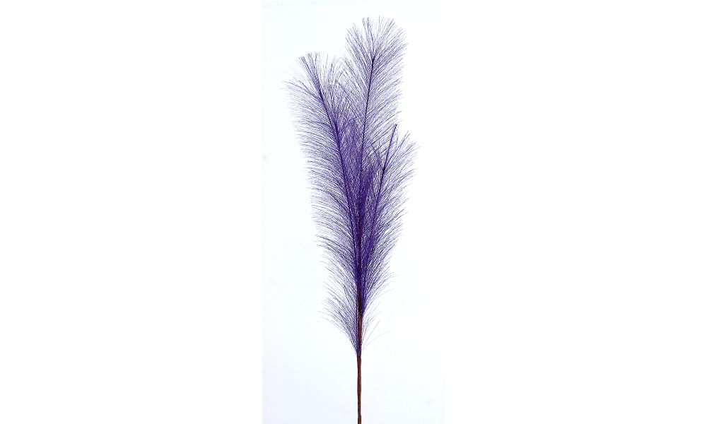 24/192-80cm Purple pampas branch