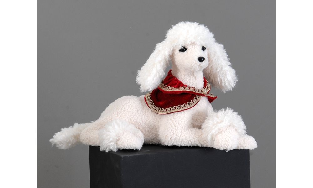 1/4-54cm Lying white dog