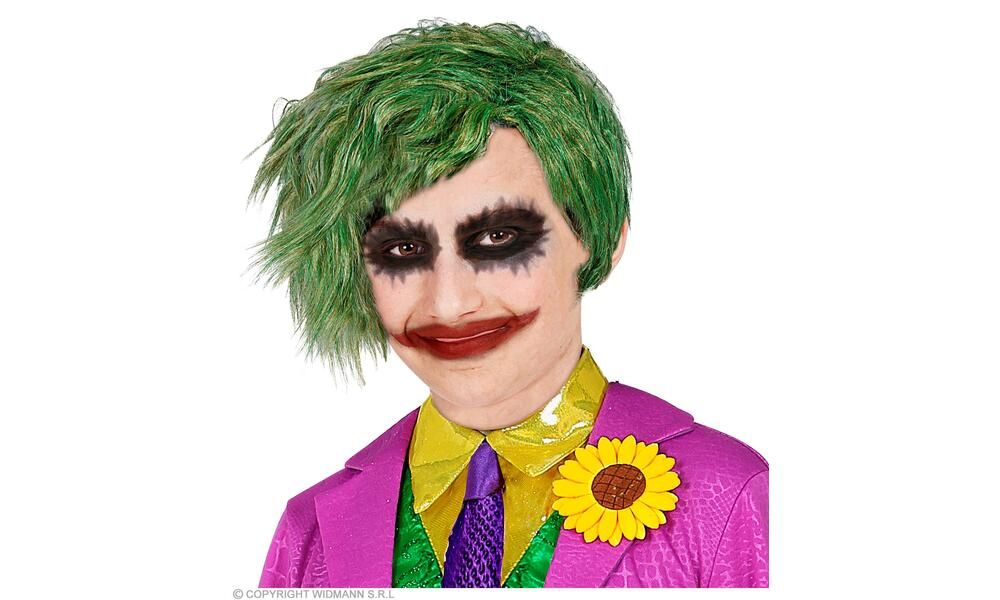 EVIL CLOWN WIG in box