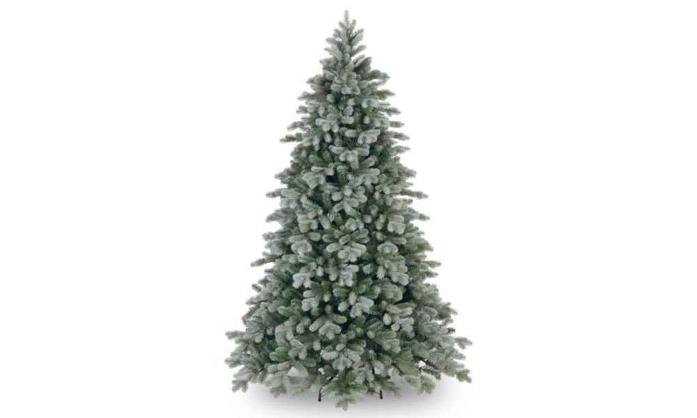 Frosted Colorado Spruce Tree 240 cm