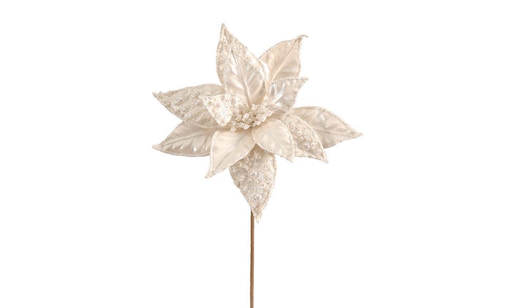 12/120 - 51CM white poinsettia